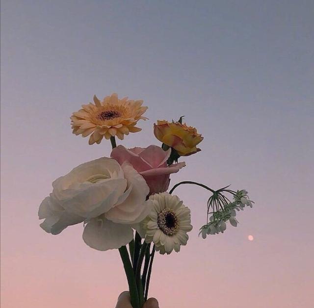 「喵咕玥的n次方」青春这场不散，我们不老，让我们与时光同步