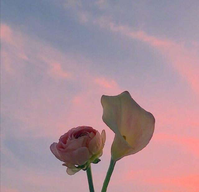 「喵咕玥的n次方」青春这场不散，我们不老，让我们与时光同步