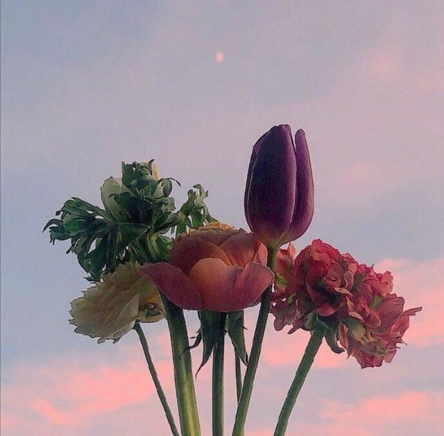 「喵咕玥的n次方」青春这场不散，我们不老，让我们与时光同步