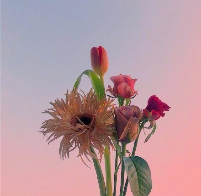 「喵咕玥的n次方」青春这场不散，我们不老，让我们与时光同步