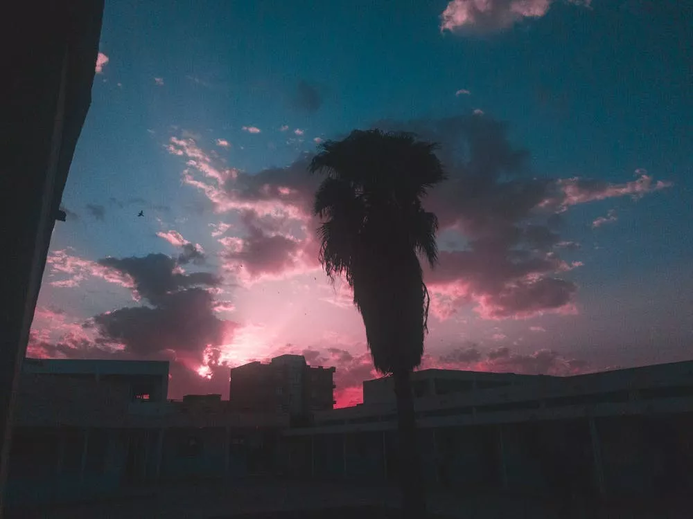 阳光下灿烂的你■一个女人最好的活法，是“为自己而活”