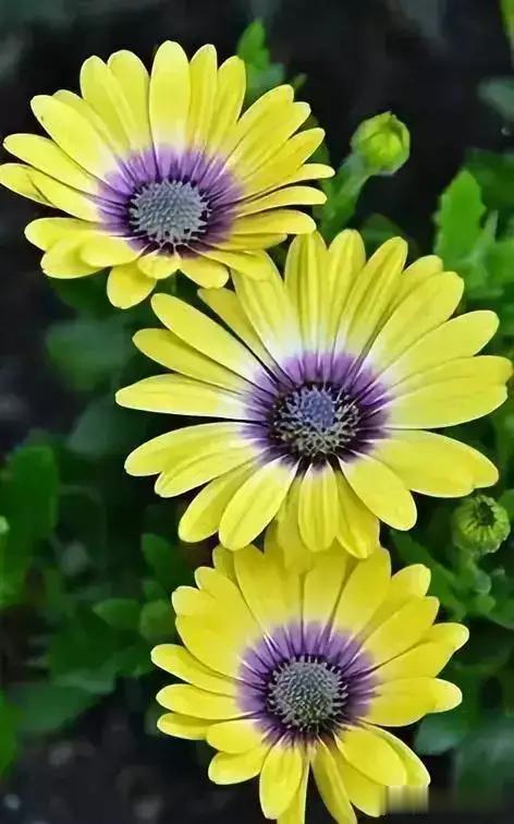 「陈浩带你赢职场」一份耕耘一份收获