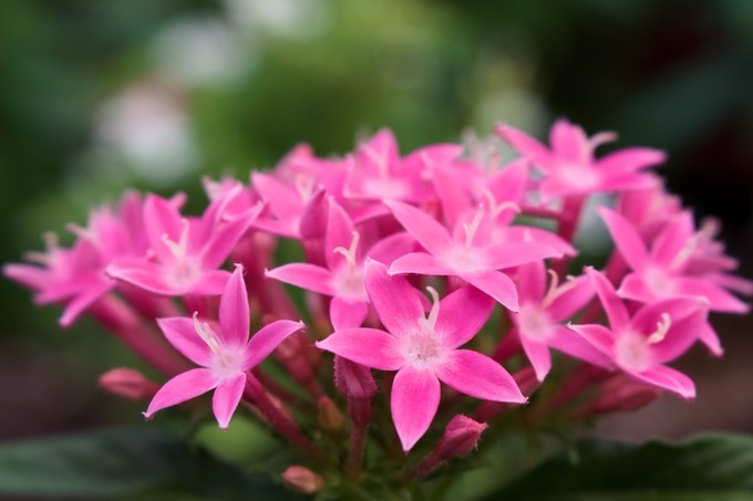 依鱼：把爱收藏，不露锋芒