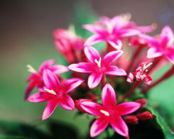 依鱼：把爱收藏，不露锋芒