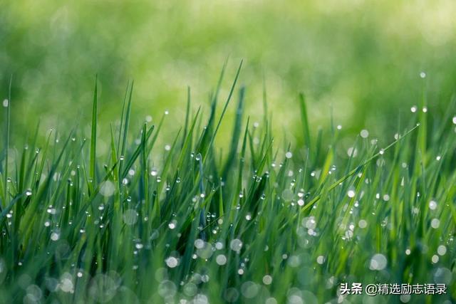 职场少年：谁把你当宝，谁待你如草