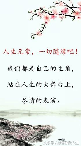 [励志司机瑞瑞]人生无常，一切随缘吧