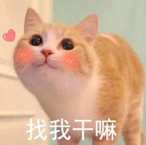 一见派■你会“爱无能”吗？也许点进来就好了