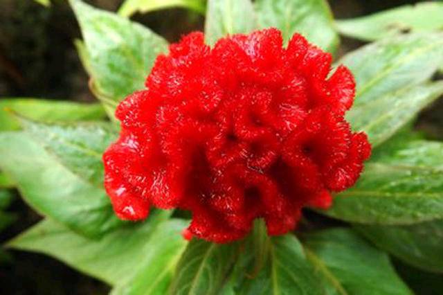 「道与欢同学」人生在世，何必羡慕别人，自己活好就是幸福