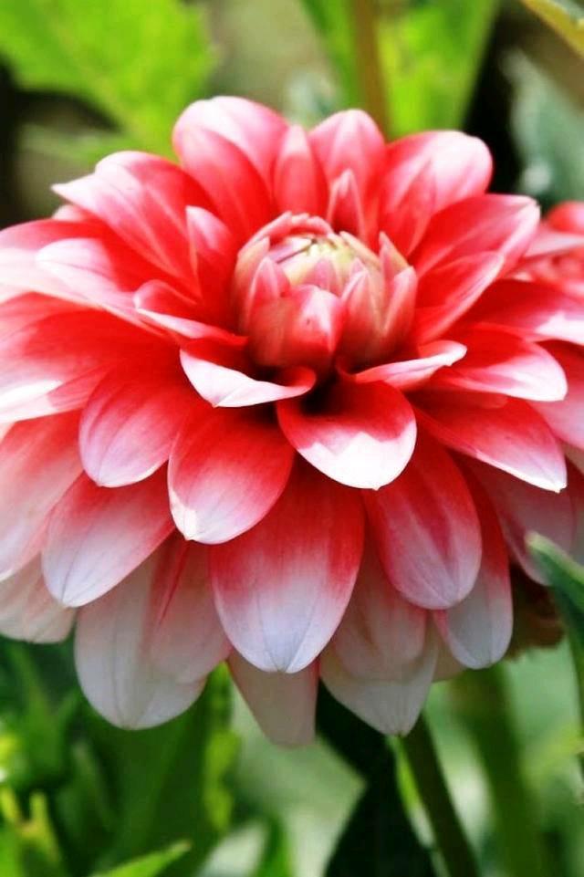 「道与欢同学」人生在世，何必羡慕别人，自己活好就是幸福