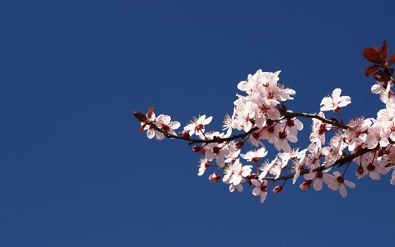「白夜说游戏」很经典的人生哲理句子，清新治愈，是不是说的你自己
