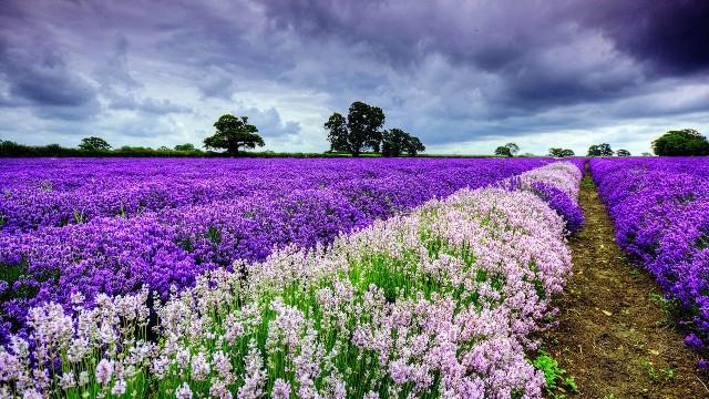 白夜说游戏@几条简单的人生感悟，句句精华，适合一个人的时候看
