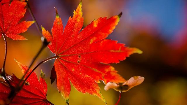 白夜说游戏@几条简单的人生感悟，句句精华，适合一个人的时候看