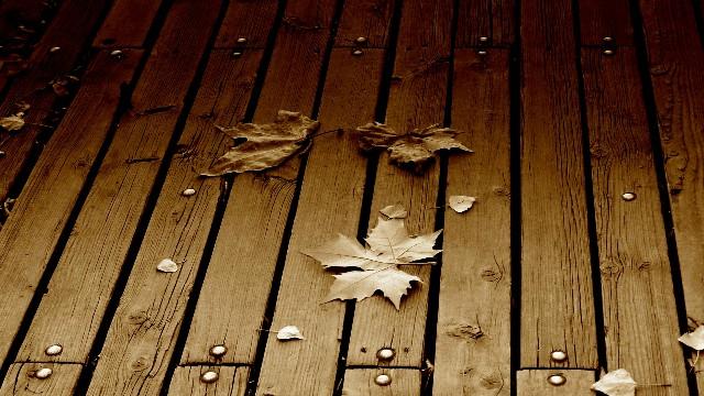 白夜说游戏@几条简单的人生感悟，句句精华，适合一个人的时候看