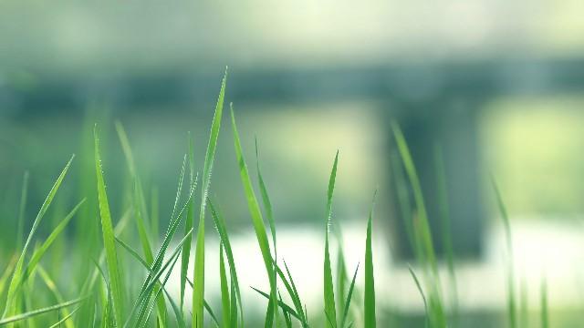 白夜说游戏@几条简单的人生感悟，句句精华，适合一个人的时候看