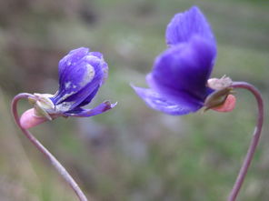 依鱼：日子还长，请别失望