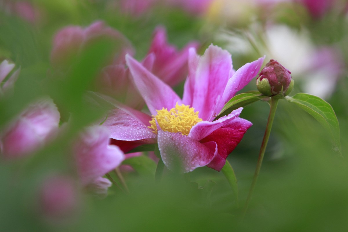 依鱼：日子还长，请别失望