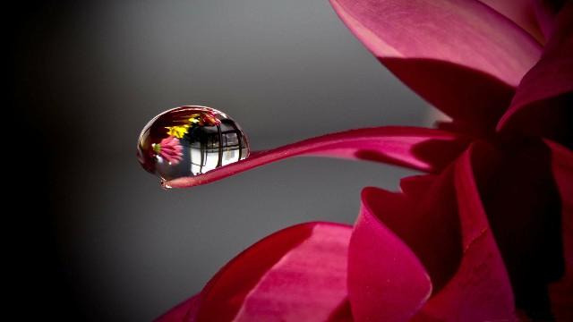 「白夜说游戏」朋友圈爱情甜蜜说说，精辟耐回味，看懂活得更明白