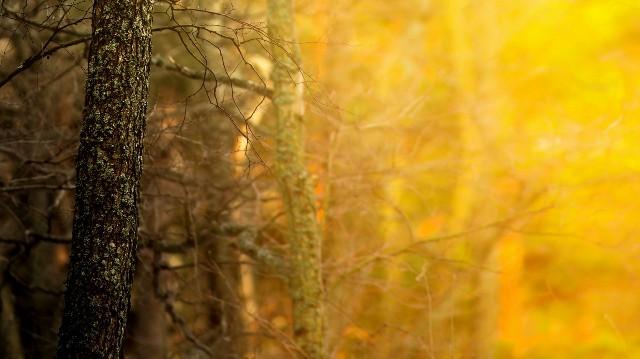 「白夜说游戏」朋友圈爱情甜蜜说说，精辟耐回味，看懂活得更明白