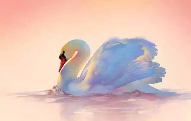 「砚田文化TB」有一种伤害叫无微不至