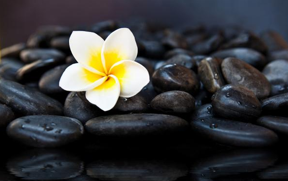 「吴下阿蒙2」为人处世，高在忍，贵在让，心在善