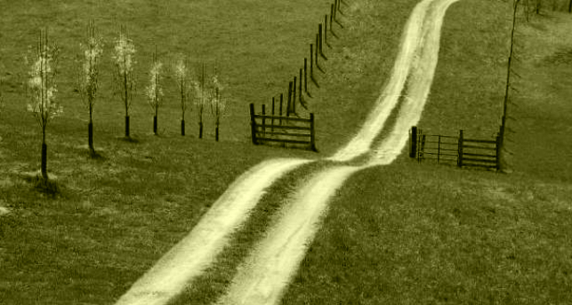 我爱我家l■耐心看的人早晚会成人上人用心看