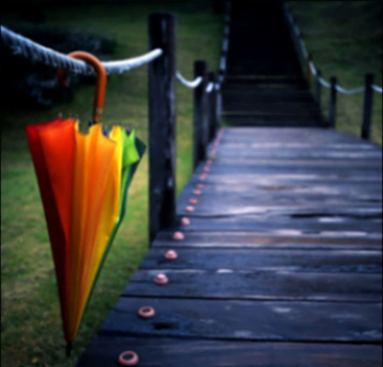 我爱我家l■耐心看的人早晚会成人上人用心看