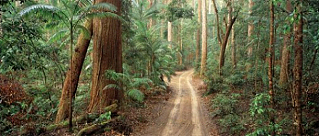 我爱我家l■耐心看的人早晚会成人上人用心看