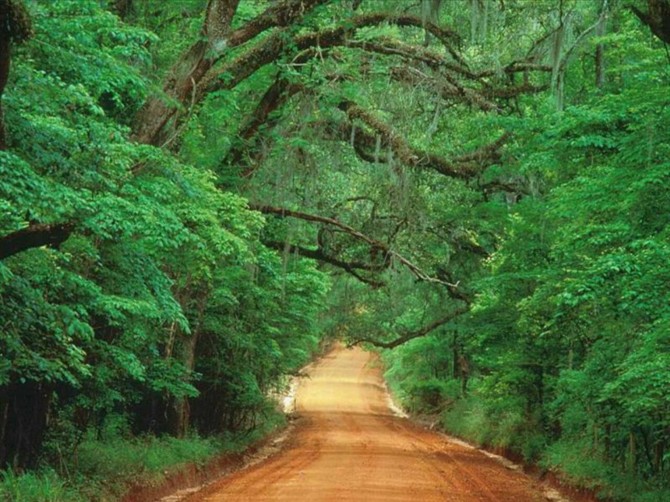 我爱我家l■耐心看的人早晚会成人上人用心看