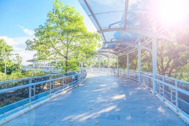 「糖果儿」你的微笑，胜过最美的阳光