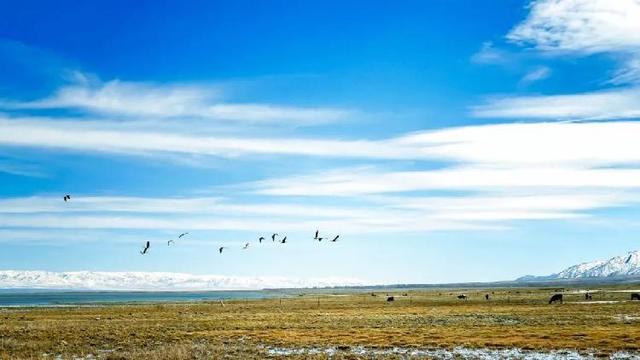 「糖果儿」你的微笑，胜过最美的阳光