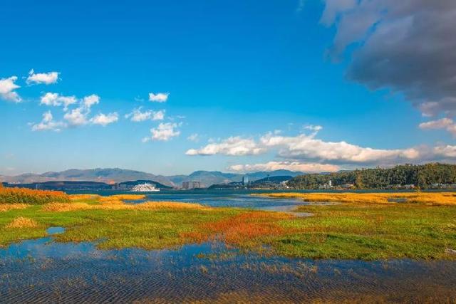 「糖果儿」你的微笑，胜过最美的阳光