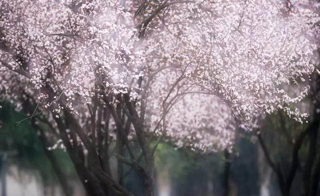[金魁星TB]在路上，是对身心最好的安顿