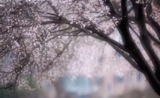 [金魁星TB]在路上，是对身心最好的安顿