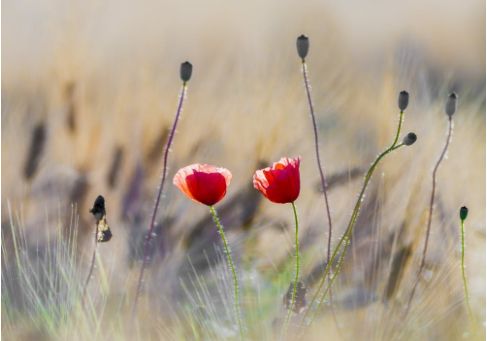 【深夜有趣指南】最有效的美容；最厉害的算命；最便宜的幸福