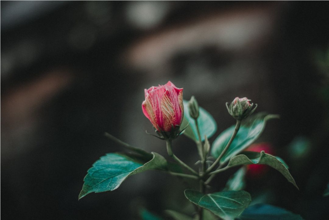 【深夜有趣指南】最有效的美容；最厉害的算命；最便宜的幸福