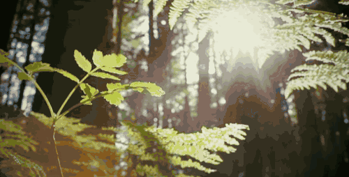 「深夜有趣指南」在变老的路上，要善待自己，  不再为了谁把自己委屈