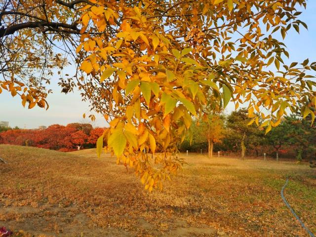 「唐山风景手机摄影」人要学会看别人比自己强