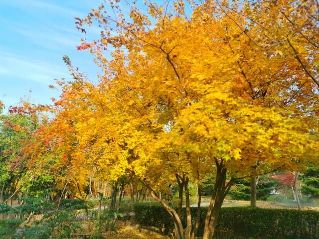 「唐山风景手机摄影」人要学会看别人比自己强