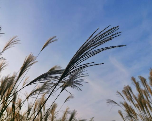 「唐山风景手机摄影」人要学会看别人比自己强