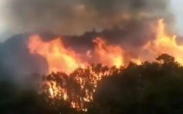 木里“3.28”森林火灾原因查明:11岁男孩点燃树木熏松鼠引发