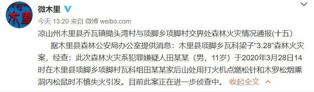 木里“3.28”森林火灾原因查明:11岁男孩点燃树木熏松鼠引发
