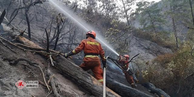 木里“3.28”森林火灾原因查明:11岁男孩点燃树木熏松鼠引发