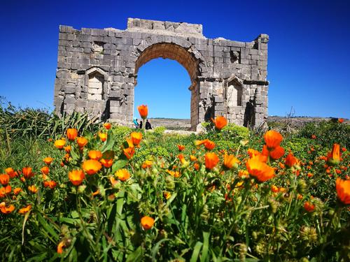 这个国家复工太着急，出大麻烦了