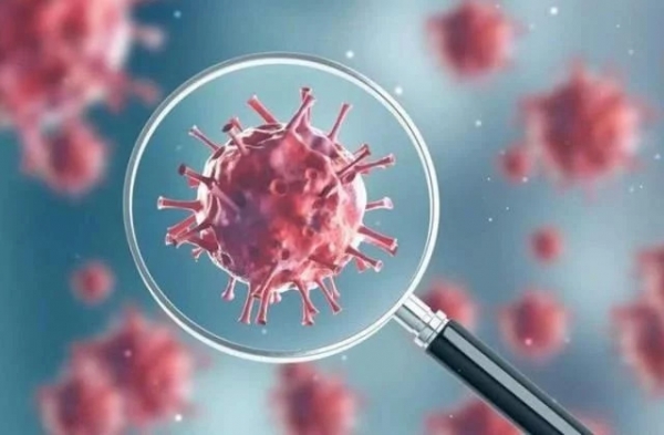 快资讯|北京病毒“另有隐情”! 专家宣布一个重大发现，欧洲才是幕后推手？，