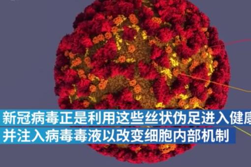 夜空良心|被特朗普说中？新冠病毒会神奇消失？专家：病毒已经变弱！，