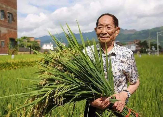 今日头条|身价百亿的袁隆平人设“崩了”，原来我们都被骗了，