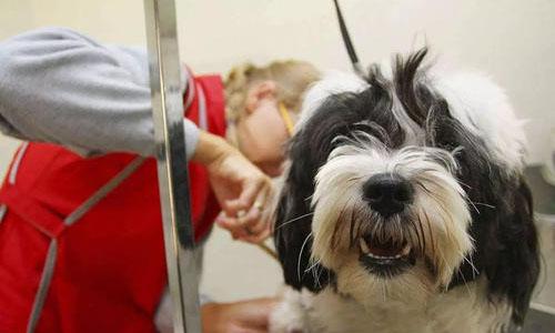 聚富财经|你的钱都花哪里了？这里全都有，“中国人剁手清单”来了！2020年