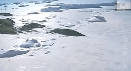 双姐旅游| 二婚嫁给张国立,被前妻要求30年不能要孩子,今63岁喜当妈!