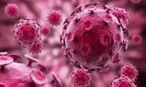 西陆网|世界难以置信！，新冠疫苗终极内幕公开