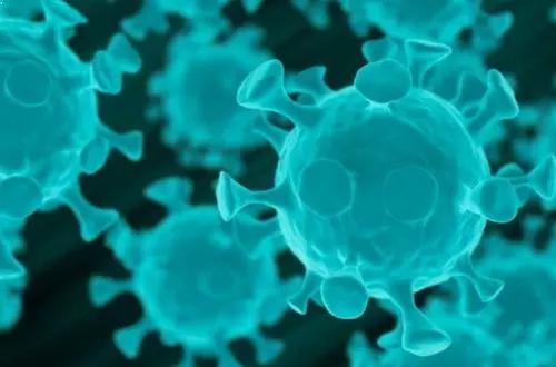 西陆网|世界难以置信！，新冠疫苗终极内幕公开